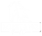 Mustang Beard Care